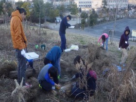 20170117サンクチュアリ生きもの探し (26)_R