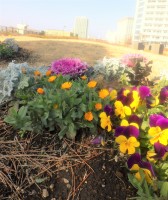 20170104みどりG自由活動 (10)